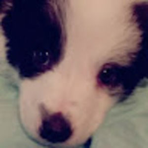 Meet your Posher, Ciara